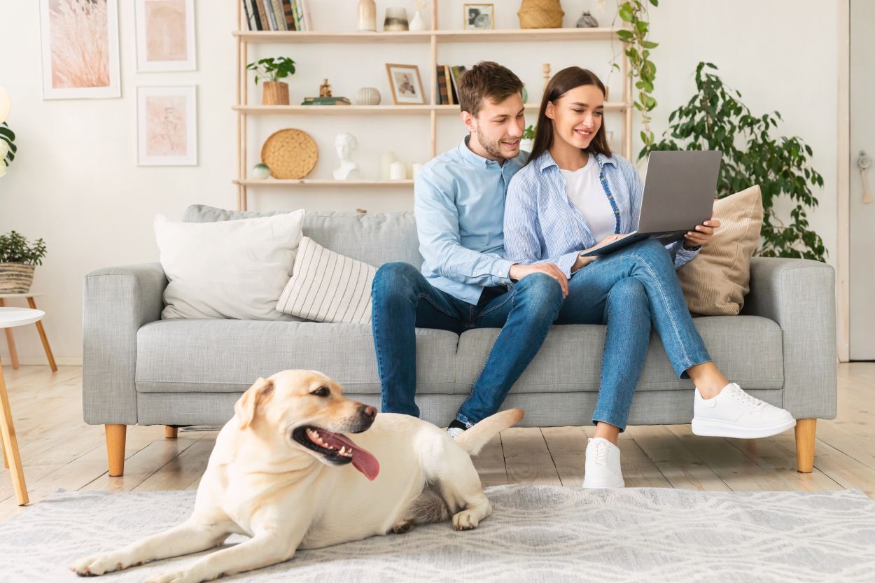 young couple in their home browsing on their computer together enjoying their ac repair in Dublin, OH